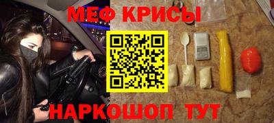 стафф Кингисепп