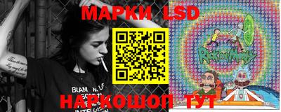 стафф Кингисепп