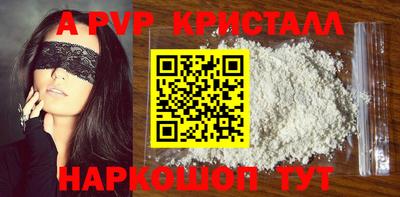 стафф Кингисепп