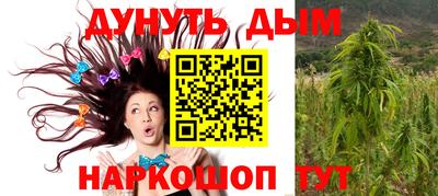 крисы Кимры
