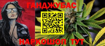 стафф Кингисепп