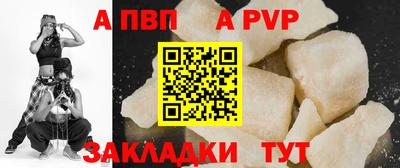 стафф Кингисепп