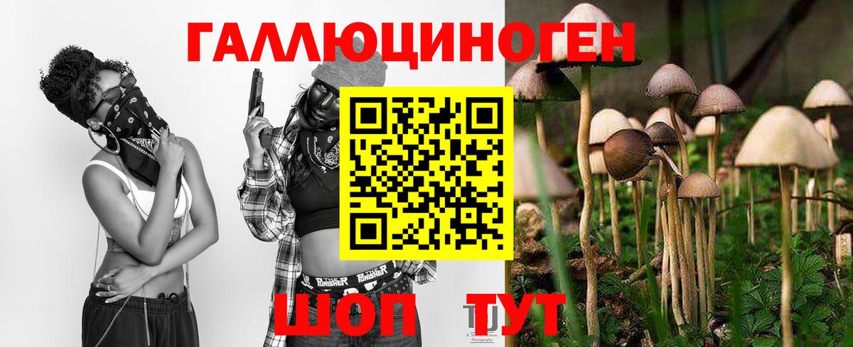 Галлюциногенные грибы GOLDEN TEACHER Кохма